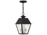 Livex Lighting Mansfield 2 - Light Outdoor Hanging Light