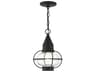 Livex Lighting Newburyport Outdoor Hanging Light