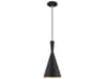 Livex Lighting 1-Light Black Gold Mini Pendant
