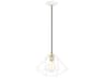 Livex Lighting Geometric 1-Light White Pendant