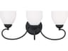 Livex Lighting Brookside 3-Light Black Glass Vanity Light