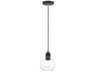 Livex Lighting Downtown 1-Light Black Brushed Nickel Glass Globe Mini Pendant