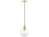 Livex Lighting Downtown 1-Light Satin Brass Glass Globe Mini Pendant