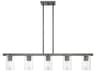 Livex Lighting Clarion 5-Light Black Chrome Glass Cylinder Linear Island Pendant