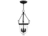 Livex Lighting Jefferson 3-Light Black Glass Chandelier