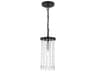 Livex Lighting Elizabeth 1-Light Black Crystal Mini Pendant