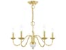 Livex Lighting Windsor 5-Light Polished Brass Candelabra Chandelier