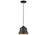 Livex Lighting Endicott 1-Light Bronze Antique Brass Bell Mini Pendant