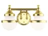 Livex Lighting Oldwick 2-Light Polished Brass Glass Vanity Light