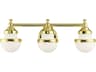 Livex Lighting Oldwick 3-Light Polished Brass Glass Vanity Light