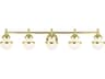 Livex Lighting Oldwick 5-Light Polished Brass Glass Vanity Light