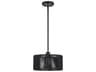 Livex Lighting Acordia 1-Light Black Drum Mini Pendant