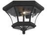 Livex Lighting Monterey Georgetown 2 - Light Outdoor Ceiling Light