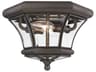 Livex Lighting Monterey Georgetown 2 - Light Outdoor Ceiling Light
