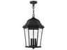Livex Lighting Hamilton 3 - Light Outdoor Hanging Light