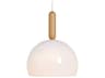Luxcambra Mad 1-Light White Dome Pendant