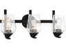 Minka Lavery Shyloh 3-Light Coal Black Glass Vanity Light