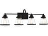 Minka Lavery Mannsdale 4-Light Coal Black Vanity Light