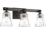 Minka Lavery Graham Avenue 3-Light Smoked Iron Brushed Nickel Glass Vanity Light