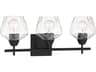 Minka Lavery Camrin 3-Light Coal Clear Glass Vanity Light