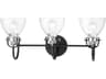 Minka Lavery Monico 3-Light Coal Polished Nickel Black Glass Vanity Light