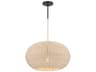 Minka Lavery Modjeska 1-Light Coal Black Pendant