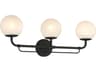 Minka Lavery Whitehall 3-Light Dark Matte Black Vanity Light