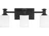 Minka Lavery Harbour Point 3-Light Coal Black Glass Vanity Light