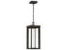 Minka Lavery Shore Point 1 - Light Outdoor Hanging Light