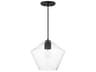 Maxim Lighting Geode 1-Light Black Mini Pendant
