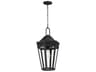 Maxim Lighting Oxford 1-Light Outdoor Hanging Light