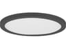 Maxim Lighting Chip 1-Light Black Round Flush Mount