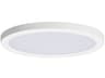 Maxim Lighting Chip 1-Light White Round Flush Mount