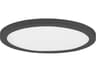 Maxim Lighting Chip 1-Light Black Round Flush Mount