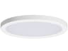 Maxim Lighting Chip 1-Light White Round Flush Mount