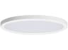 Maxim Lighting Chip 1-Light White Round Flush Mount