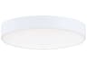 Maxim Lighting Trim Outdoor Ceiling Light