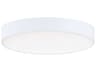 Maxim Lighting Trim Outdoor Ceiling Light