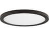 Maxim Lighting Wafer Outdoor Ceiling Light