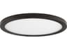 Maxim Lighting Wafer 1 - Light Outdoor Ceiling Light