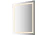 Maxim Lighting Project Perimeter Frontlit Rectangular Wall Mirror