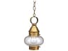 Northeast Lantern Onion 1-Light Outdoor Hanging Light