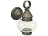 Northeast Lantern Onion 1-Light Outdoor Wall Light
