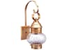 Northeast Lantern Onion 1-Light Outdoor Wall Light