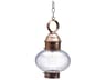 Northeast Lantern Onion 1-Light Outdoor Hanging Light