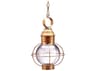 Northeast Lantern Onion 1-Light Outdoor Hanging Light