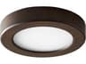 Oxygen by Quorum Elite 1-Light Outdoor Ceiling Light