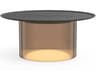 Pablo Carousel Round Metal Bronze End Table