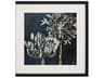 Paragon Florals Midnight Lilies-II Wall Art