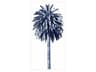 Paragon Waterside Palm Tree Blue-II Wall Art